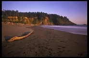 La push