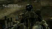 Ragingraven