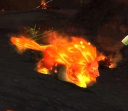 DruidoftheFlameCat
