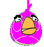 Violet Bird
