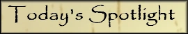 Today's spotlight