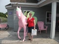 DSCF0691.jpg