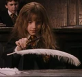 Wingardium Leviosa 2.jpg