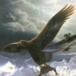 Adelaars