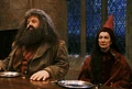 Hagrid and Vector.png