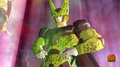 DBHCell
