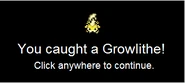 Caught Shiny Growlithe
