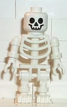 Skeleton