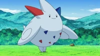 EP641 Togekiss de Dawn