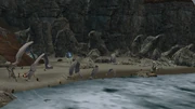 Nipik's Haven.png