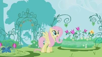 Fluttershy looking at the garden S1E3