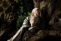 Gandalfthehobbit.jpeg