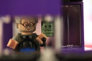 Shrunkenern