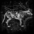 Cyberdog poster.jpg
