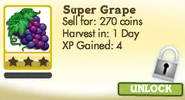 Super Grape Locked