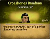 CrossbonesBandanaMale