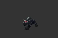 Skarr