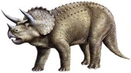 Triceratopsy