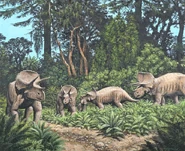 Triceratopsherd