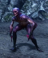 Tw2 Drowned dead
