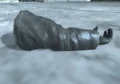 Zakhaev's blown off arm One Shot One Kill CoD4.jpg