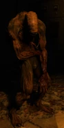 Sleeping bloodsucker