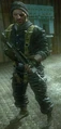 Weaver 1