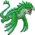 Green Dragon Turtle Adult.gif