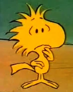 Woodstock1