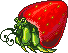 Viridis Crab Adult.gif