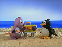 SealPenguinBeach