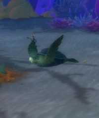 Image of Seabrush Terrapin