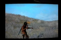 Gold Tomahawk