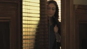 PLL205-0219