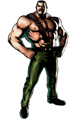 Haggarumvc3