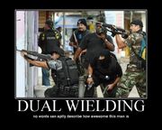 1 dual wielding