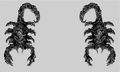 Thumbnail for version as of 04:31, August 1, 2011