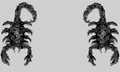 Thumbnail for version as of 04:36, August 1, 2011