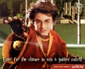 Goldensnitch contestpageimage.jpg