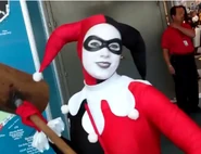 Harley Quinn CC