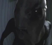 Slender 1
