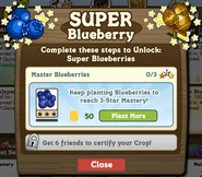 Keep Planting Blueberries