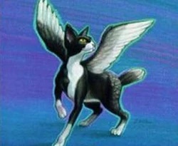 Transmogrify