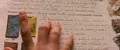 SSbook.jpg