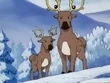 EP191 Stantler