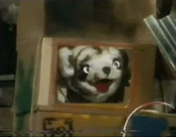 TommieinCrate1976