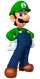 LuigiMarioPartyDS