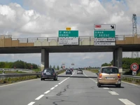 N137 (42)