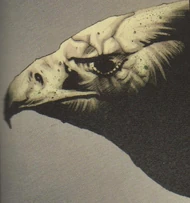 Eagle
