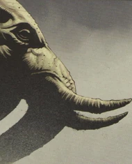 Elephant